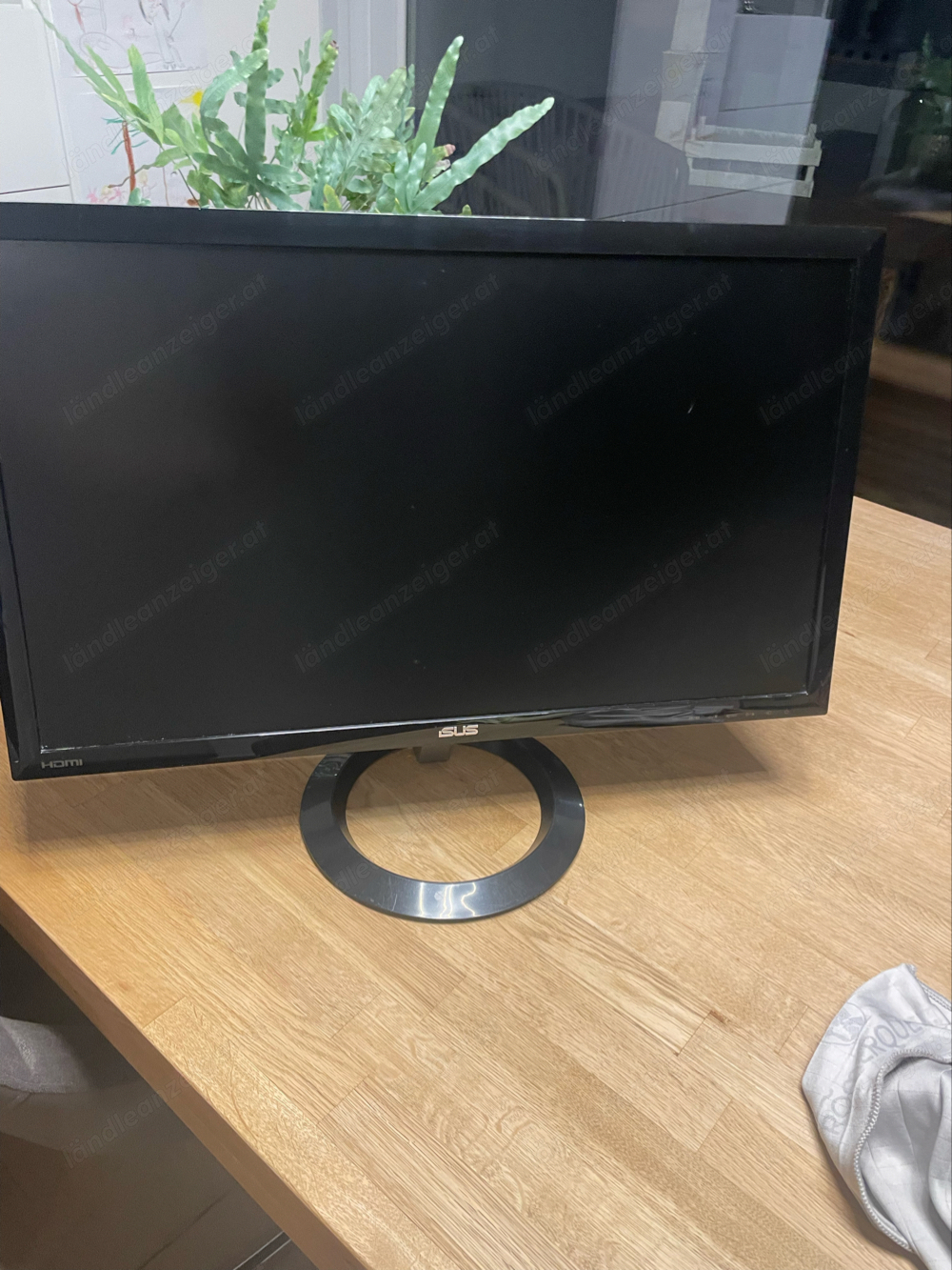 Asus Monitor