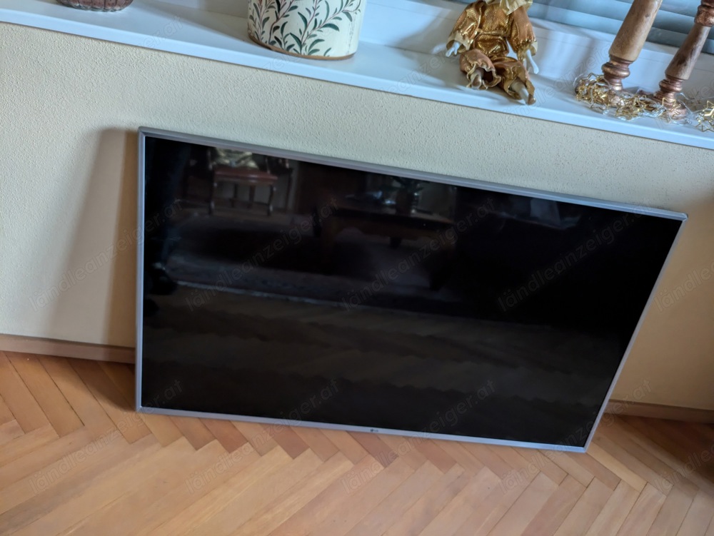 TV Gerät 