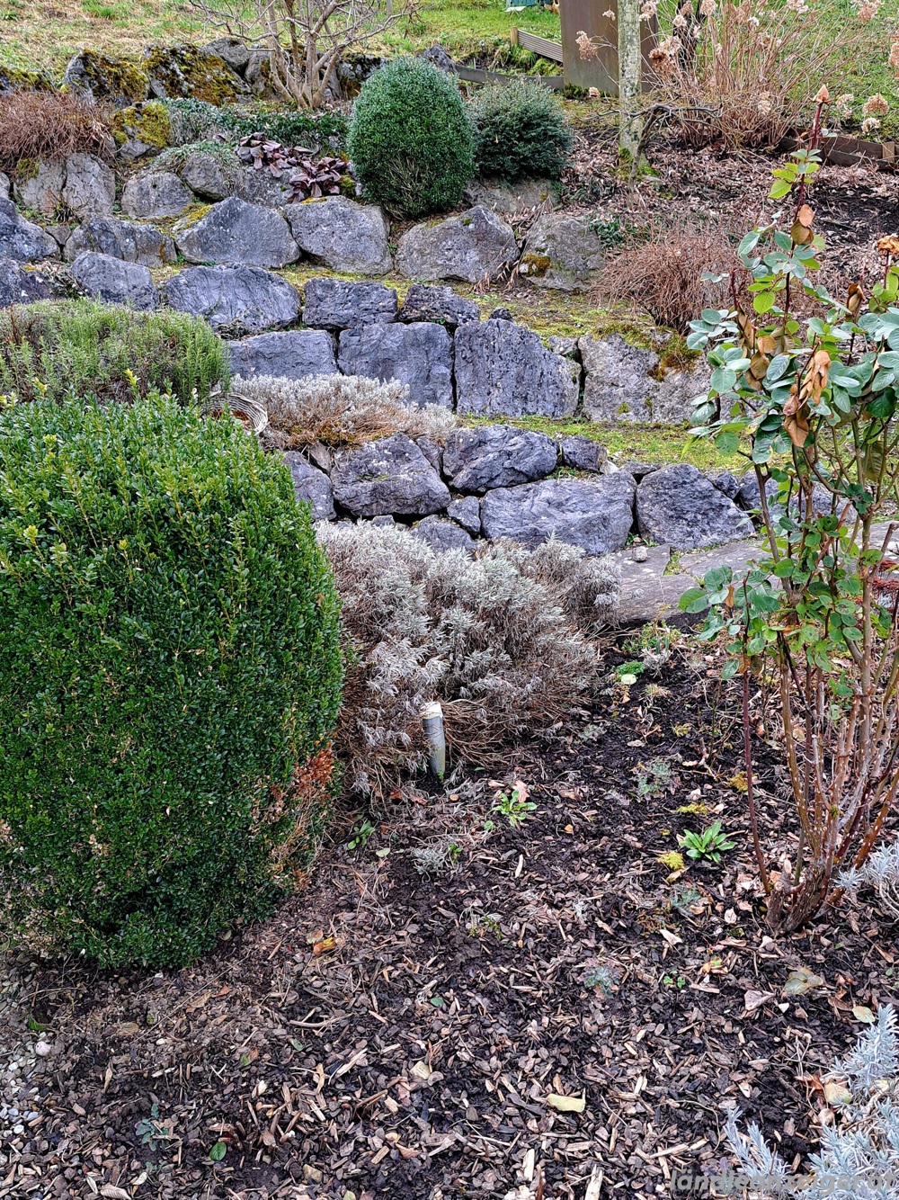 Hilfe im Garten gesucht