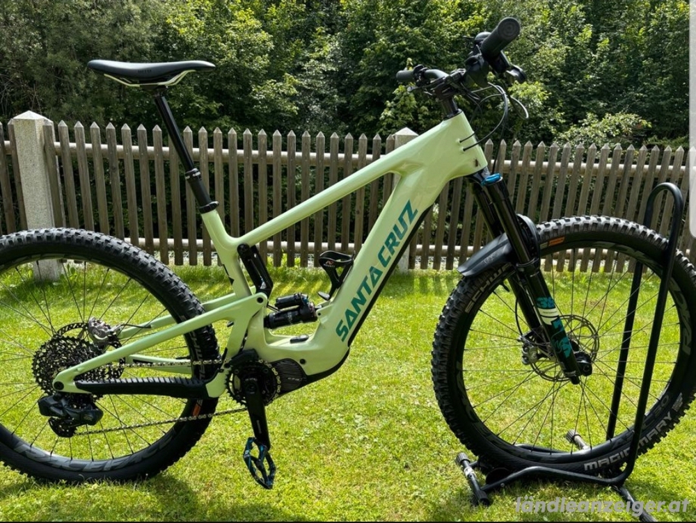 Santa Cruz Heckler C29