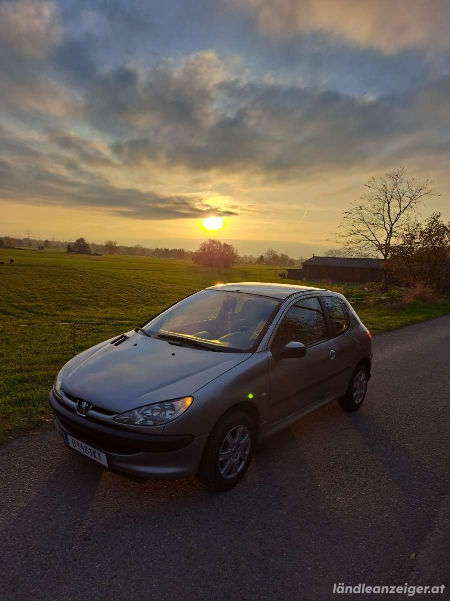 Peugeot 206 Mit Getriebeproblemen