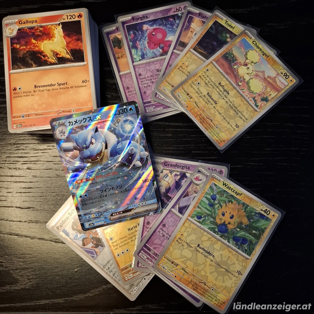 Pokemon Karten Set 