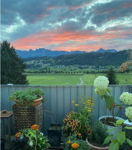 Sehr helle, attraktive Terrassenwohnung in absoluter Grenz- und Spitalnähe in Feldkirch-Tisis