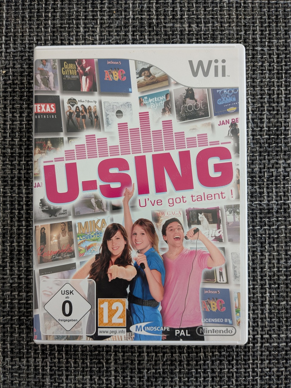 Wii U-Sing mit Mikrofonen