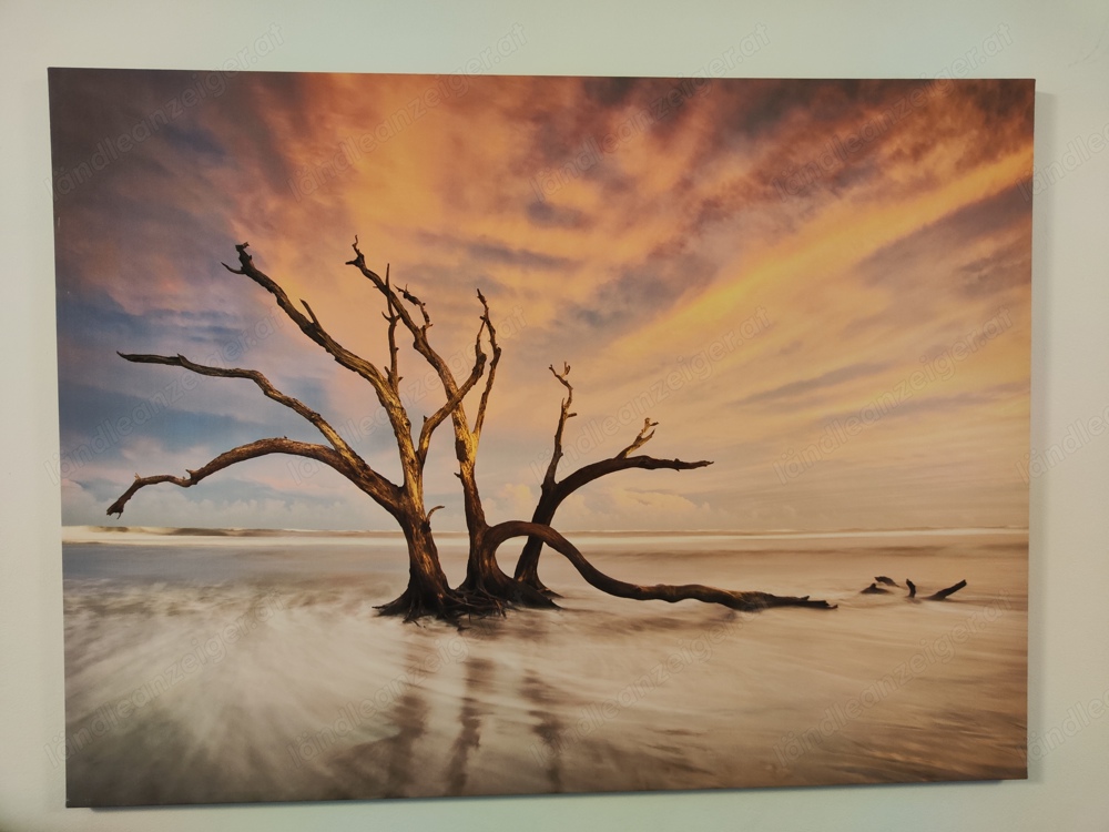 Leinwand Baum am See