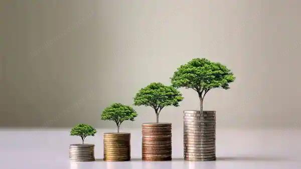 Kapitalinvestition, finanzielle Unterstützung
