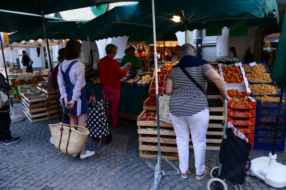 Marktverkäufer in gesucht - Pilz Lenz