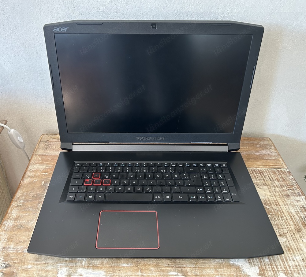 Gaming Laptop (Acer Predator Helios 300)