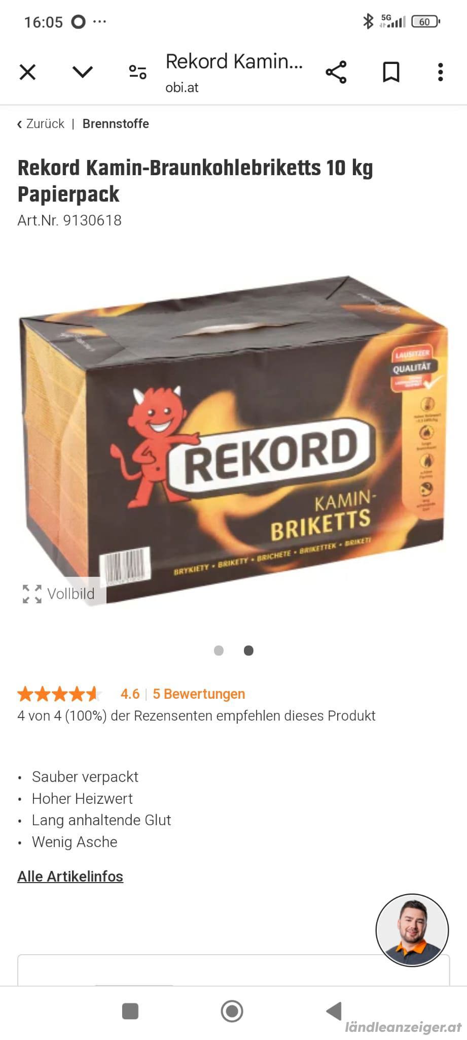 Braunkohlebriketts 