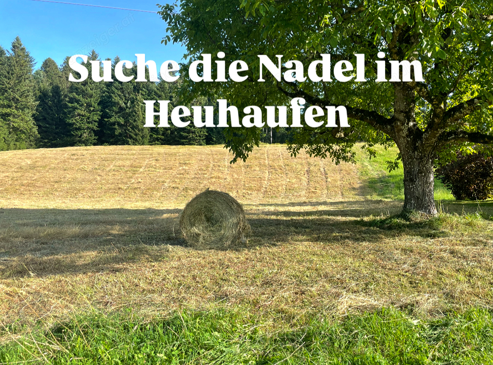 Suche landwirtschaftliche Fläche oder Stall