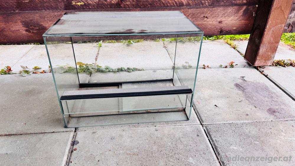 Terrarium zu verschenken