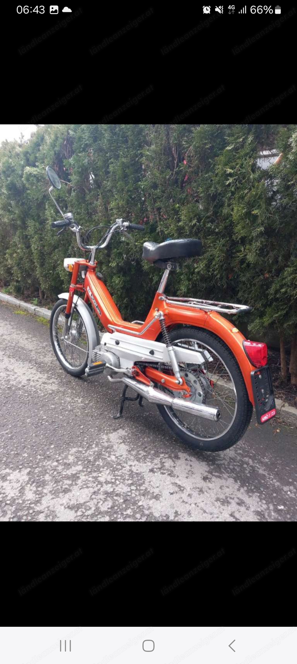 Puch Maxi L Bj 1975