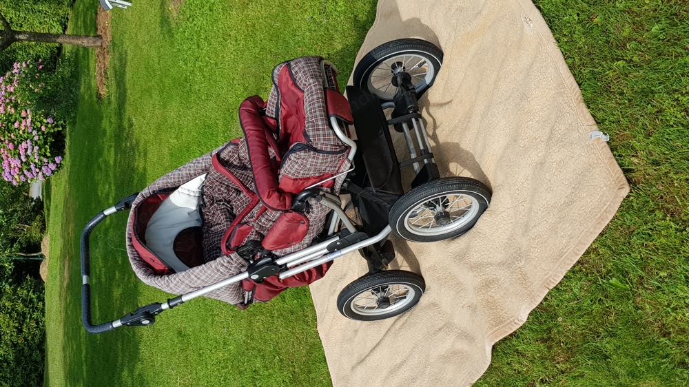 Kinderwagen Teutonia