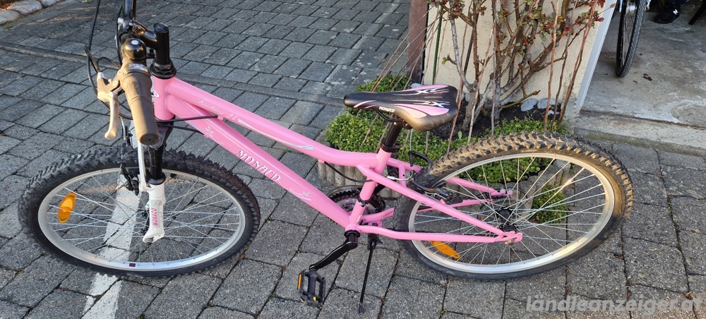 Kinder Fahrrad 