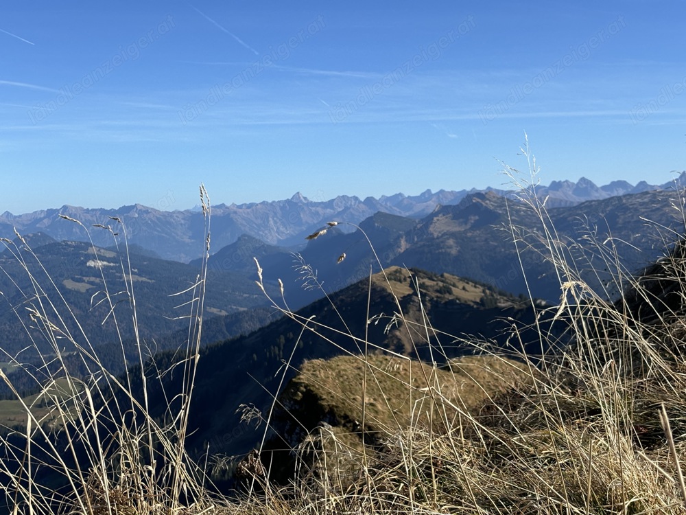 Kleine Familie sucht Wohnung im Bregenzerwald 