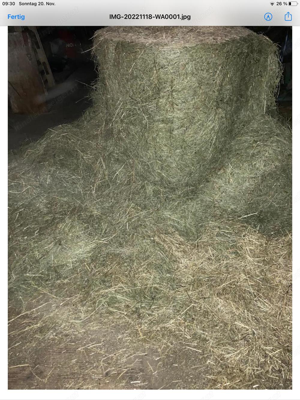 Heu 1Schnitt in Rundballen 