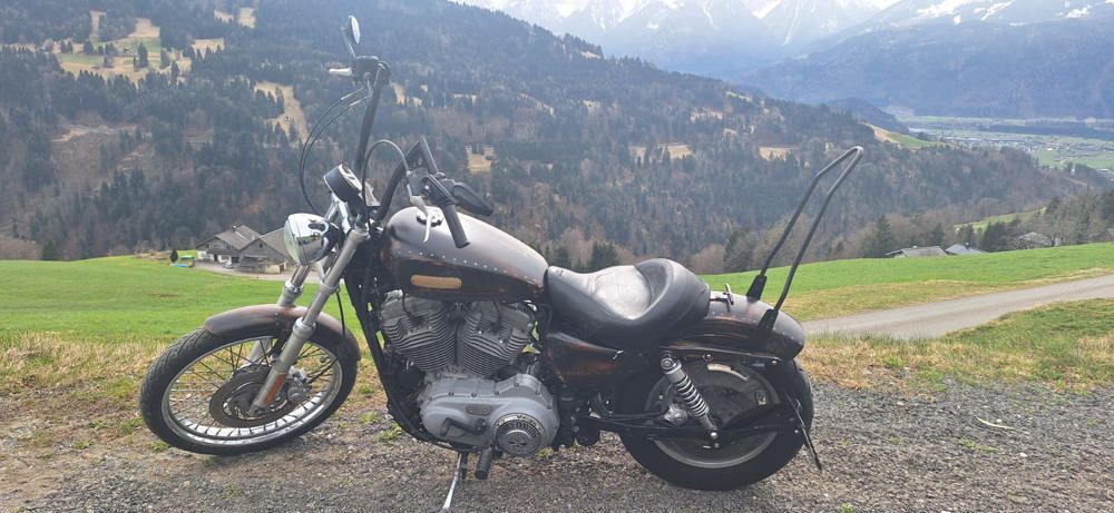 Harley Davidson - Sportster XL883C