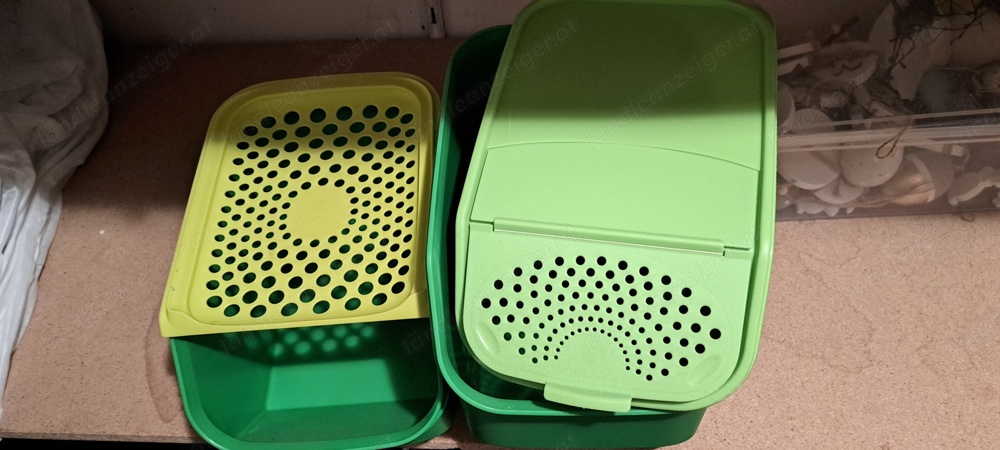 Tupperware in grün 