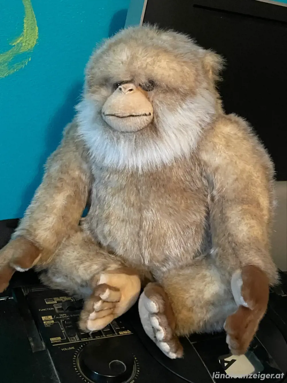 Affe Plüsch Gross vom Affenberg NEU Affe Plüsch Gross vom Affenberg NEU