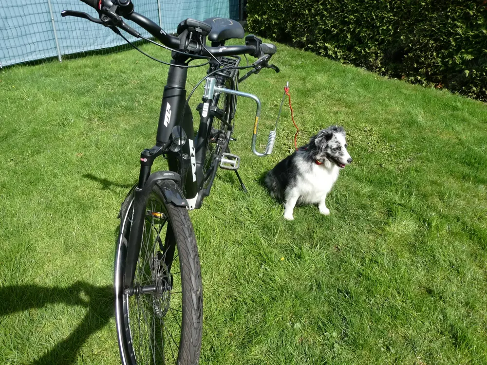 Fahrrad-Halterung für Hunde mit Schnellkupplung Fahrrad-Halterung für Hunde mit Schnellkupplung
