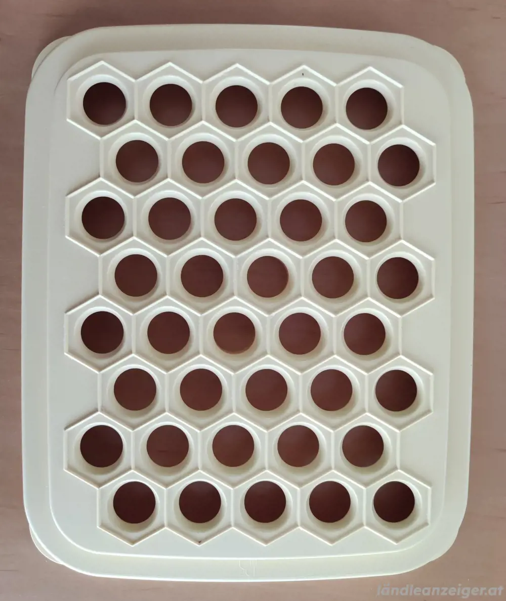 tupperware tupperware
