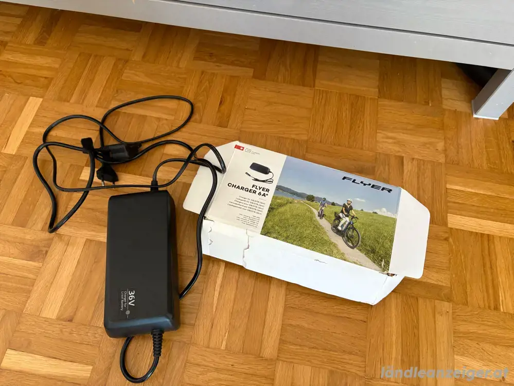 E-Bike Flyer