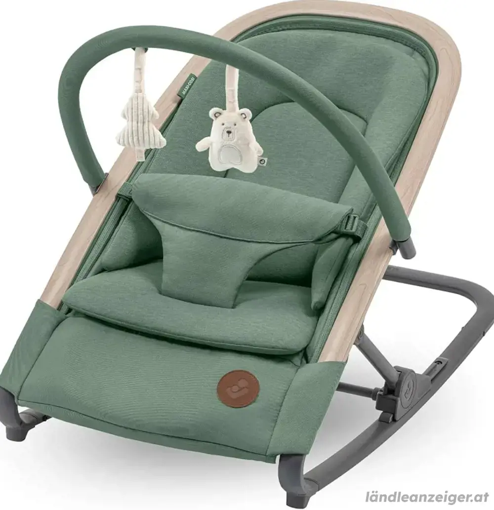 Maxi-Cosi 2-in-1 Wippe Maxi-Cosi 2-in-1 Wippe