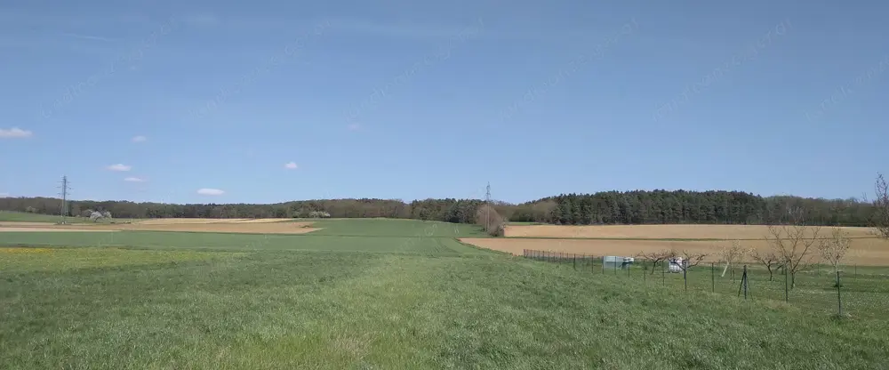 Baugrund Burgenland Güssing (Bezirk) 3000qm