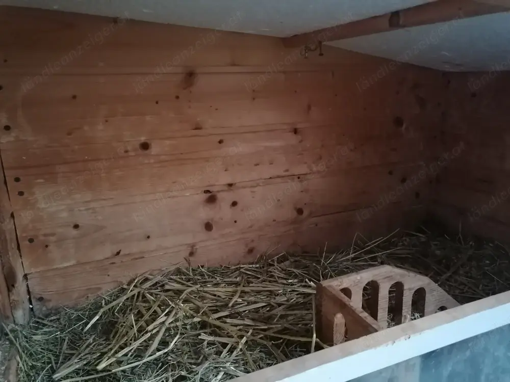 Stall für Hasen, Hamster oder Meerschweinchen 