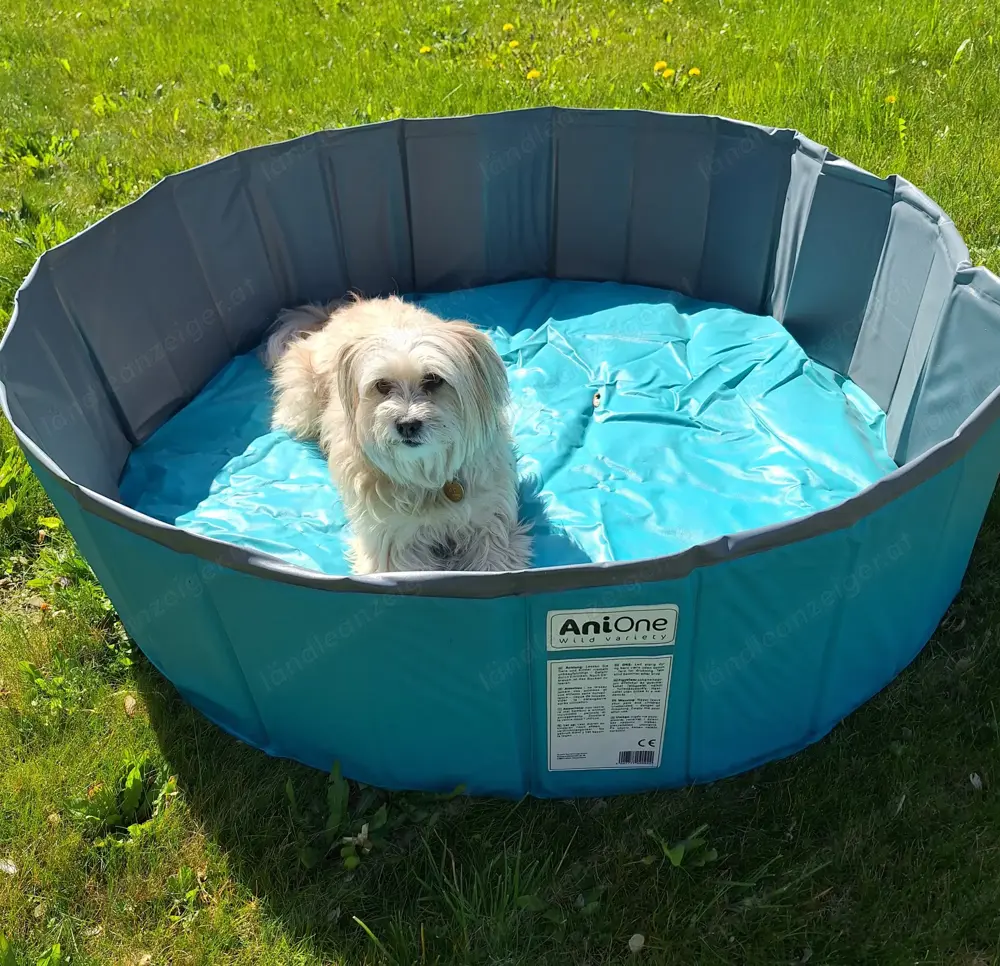 Hundepool 