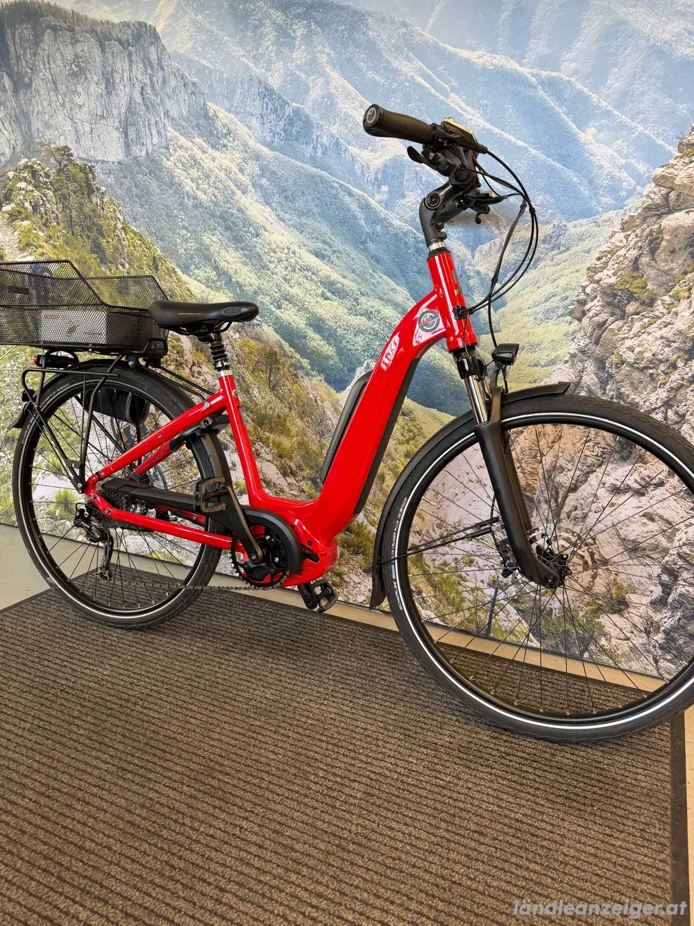 E-Bike Tiefeinsteiger "Drissner-Line"