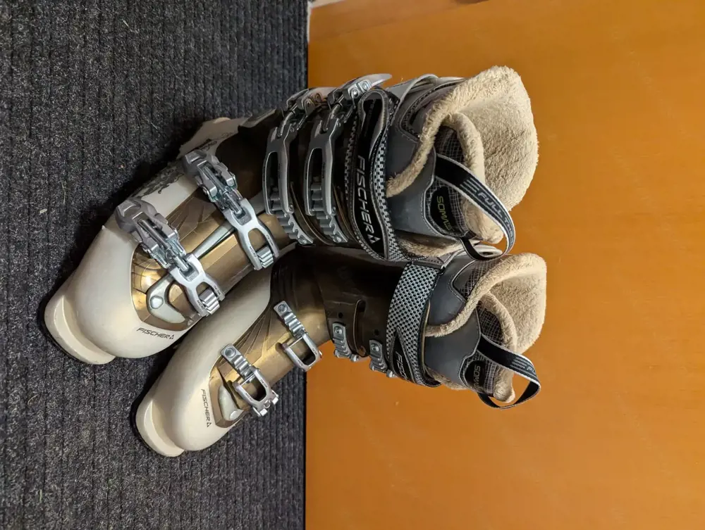 Schi-Schuhe Damen Gr 38 39 Schi-Schuhe Damen Gr 38 39