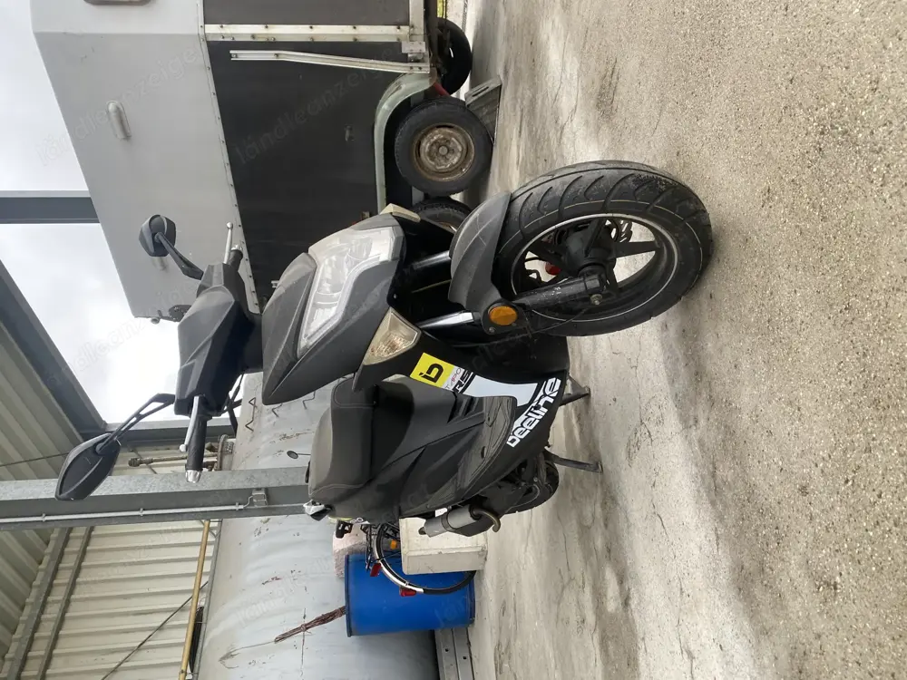 Beeline Tapo 50 Roller