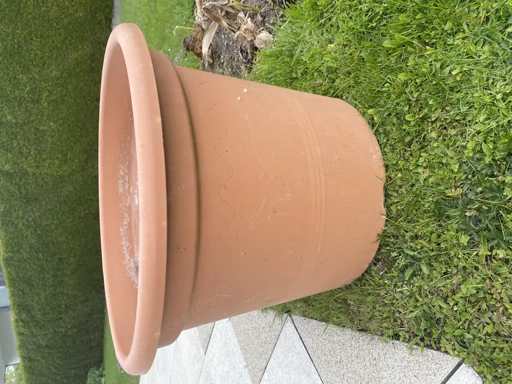 Pflanztopf 50cm Pflanztopf 50cm