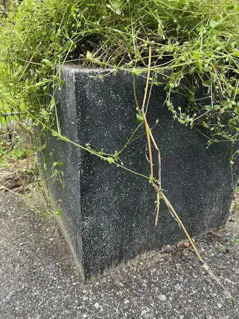 Deko für den Garten und Pflanzgefäße Deko für den Garten und Pflanzgefäße
