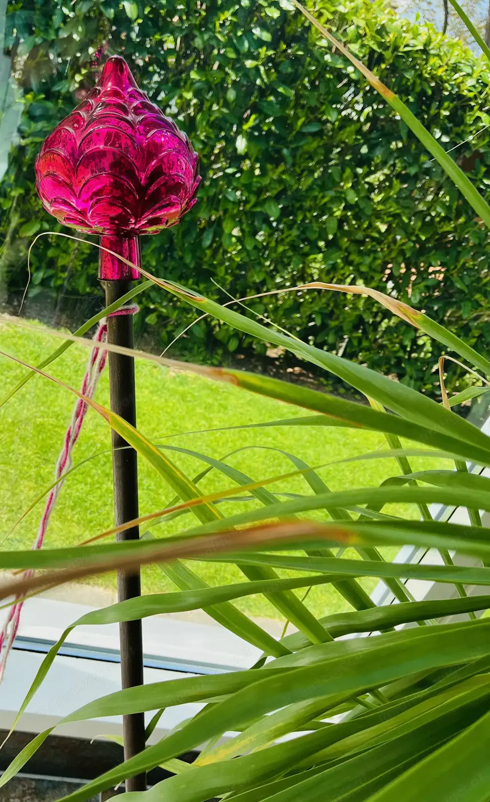 Dekostab für Pflanzen