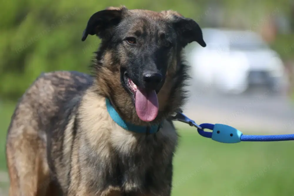 Vasilisa (1 jahre alt) sucht ein Zuhause