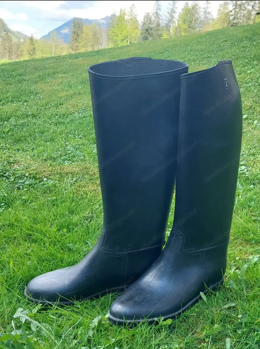 Reitstiefel Reitstiefel