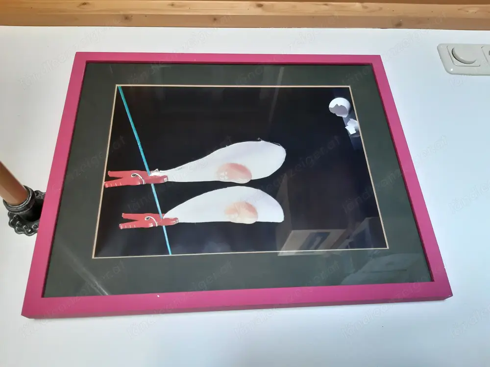 Bild  "Spiegeleier"
