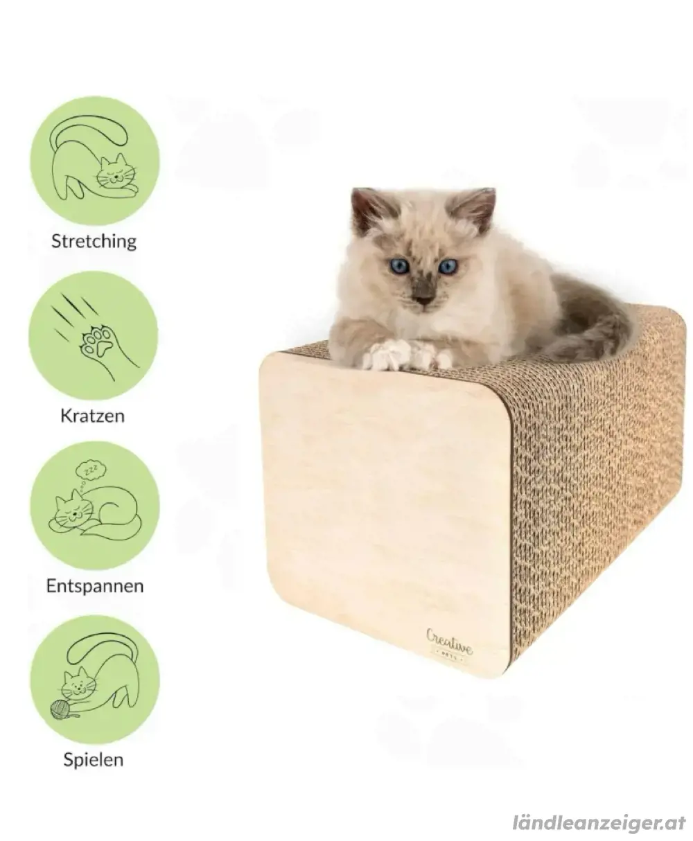 Kratzmöbel Katze