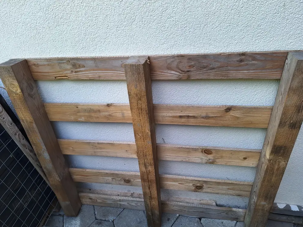Mehrere Paletten gratis Mehrere Paletten gratis