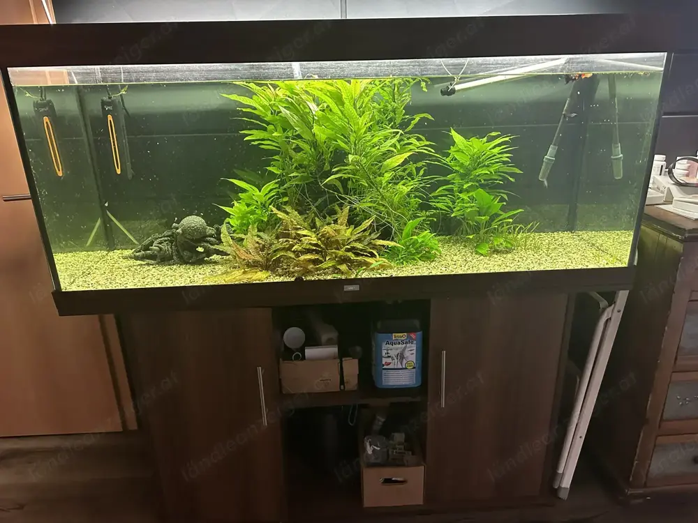 Juwel Aquarium 450 L mit Unterschrank & Zubehör Abholung in Dornbirn Juwel Aquarium 450 L mit Unterschrank & Zubehör Abholung in Dornbirn