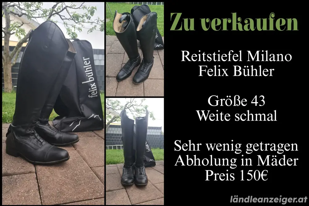 Reitstiefel zu verkaufen (Felix Bühler, Modell Milano, Größe 43) Reitstiefel zu verkaufen (Felix Bühler, Modell Milano, Größe 43)