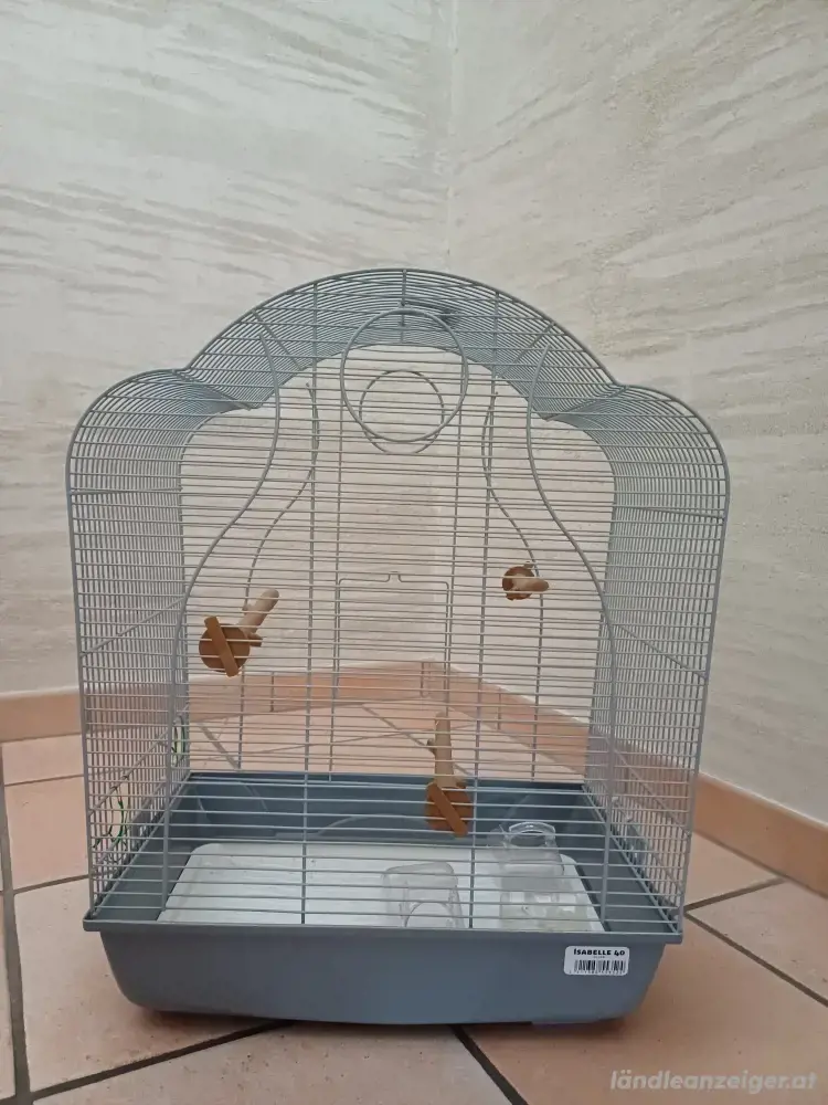 vogel Käfig vogel Käfig