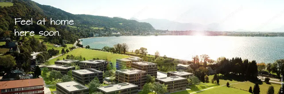 1-Zimmer bis 3-Zimmer Wohnungen in Bregenz, Hard oder Lauterach gesucht!