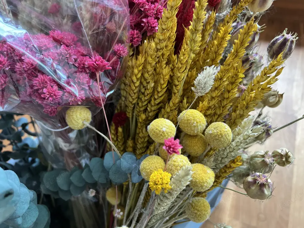 Tolle Trockenblumen zum Basteln und Dekorieren Tolle Trockenblumen zum Basteln und Dekorieren