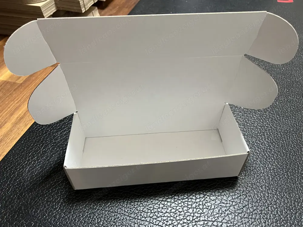 Versandkartons mit Klappdeckel 270x110x70mm (Länge, Breite, Höhe) 