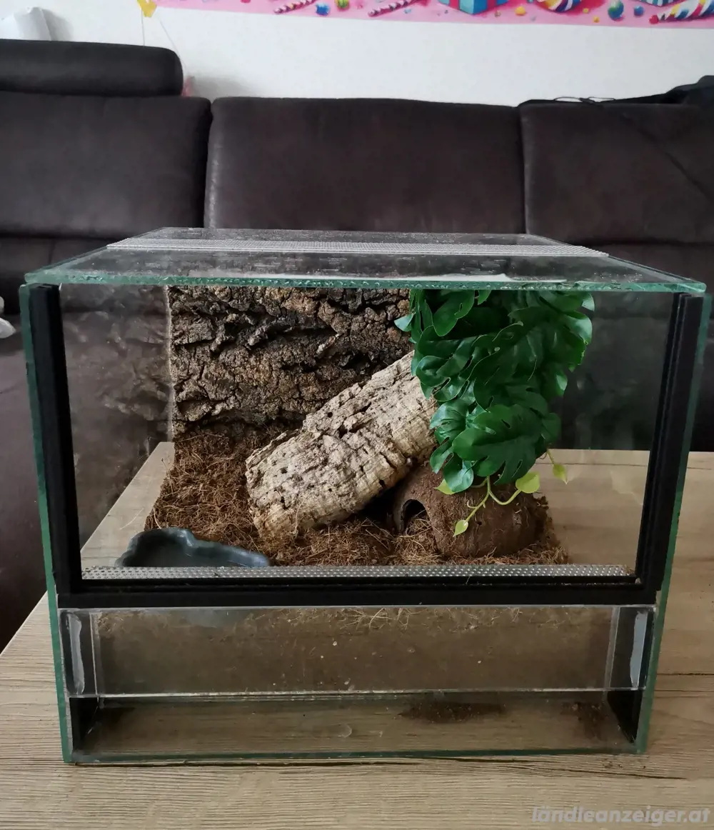 Terrarium Terrarium
