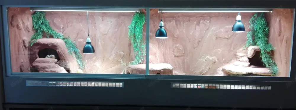 Sehr großes Wüsten-Terrarium in gutem Zustand (OHNE Tiere) zu verschenken
