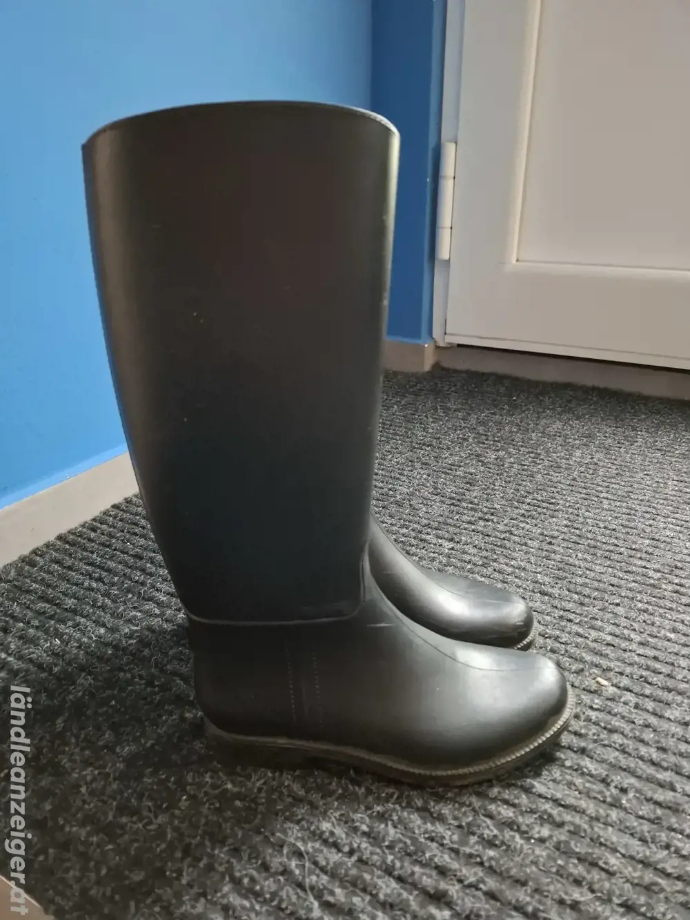 Kinder Reiterstiefel Größe 35 Kinder Reiterstiefel Größe 35